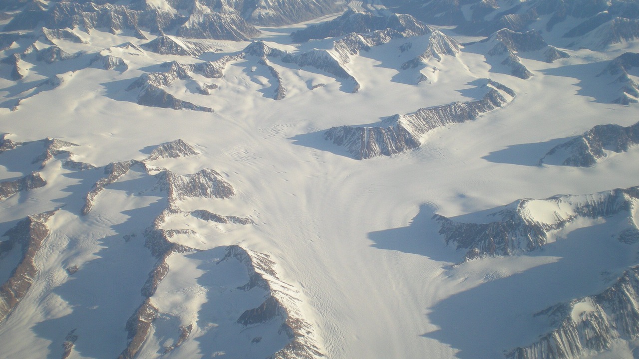 Photo of Others in Turnagain