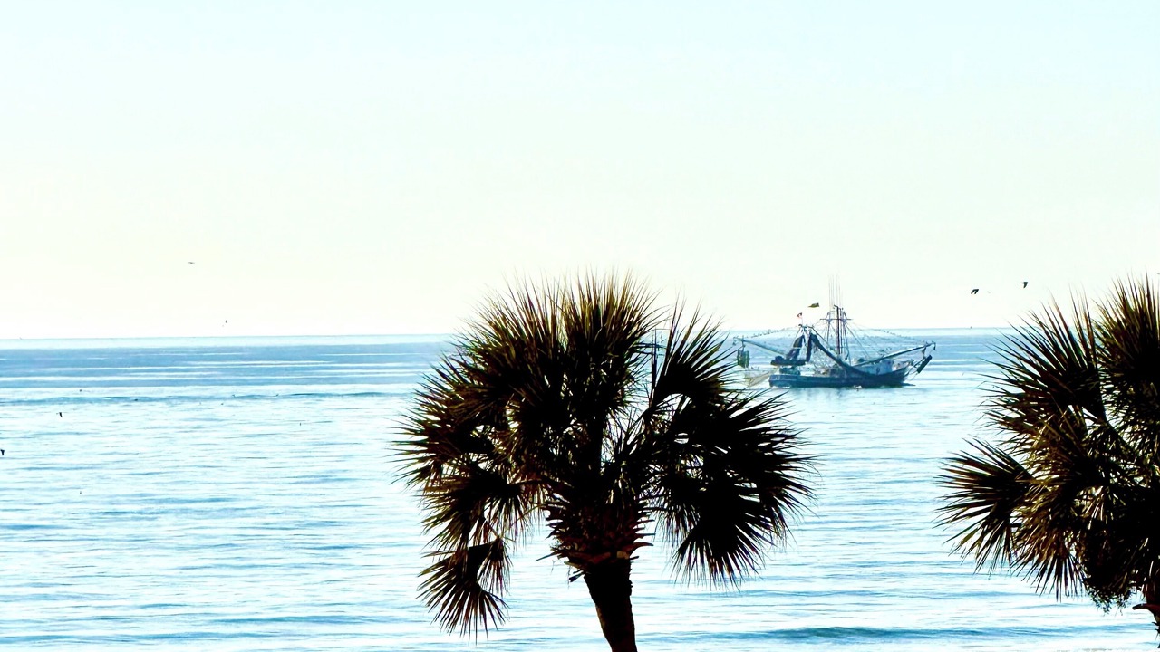 Photo of Others in Myrtle Beach