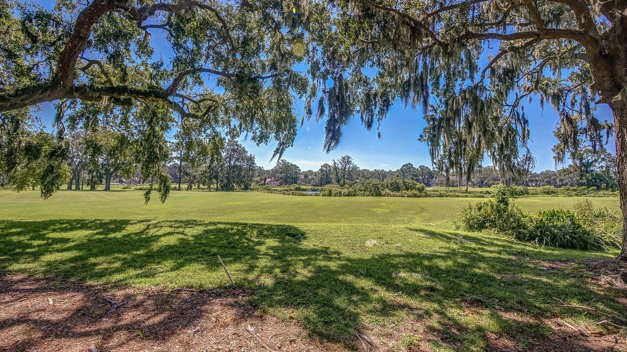 Photo of Others in Palmetto Dunes