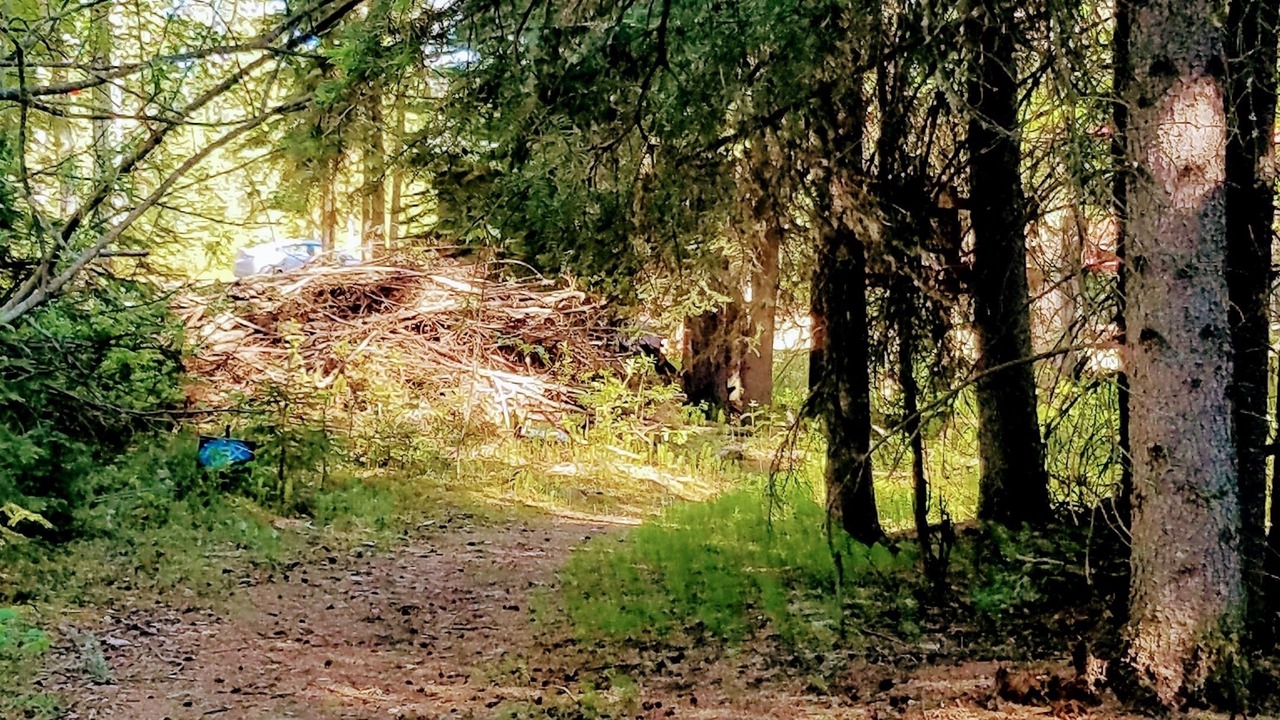 Photo of Others in Fairbanks