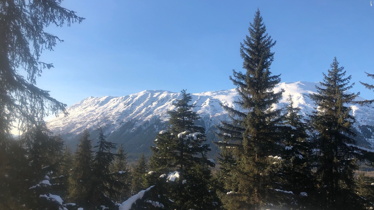 Photo of Others in Alyeska