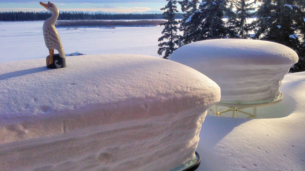 Photo of Others in Fairbanks