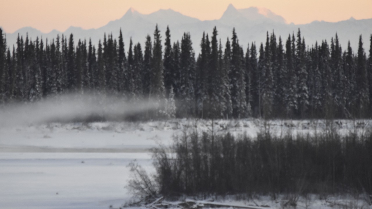 Photo of Others in Fairbanks
