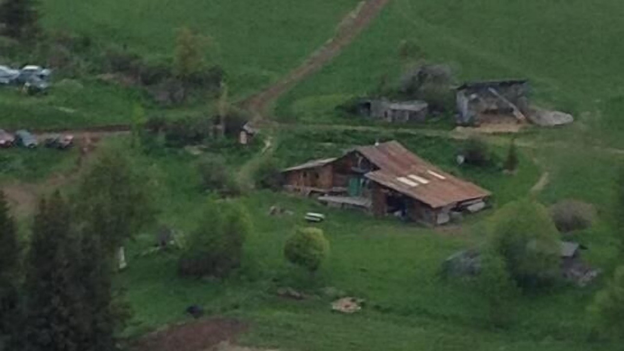 Photo of Others in Fritz Creek