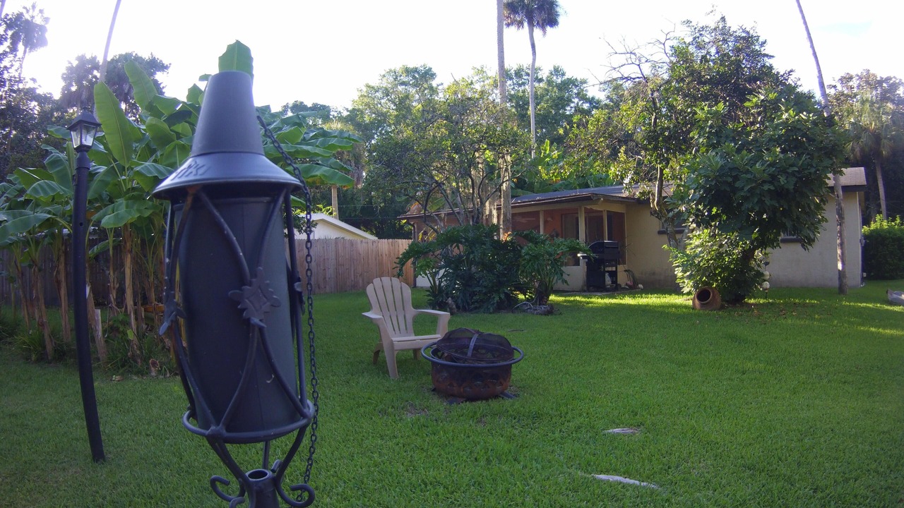 Photo of Others in Homosassa