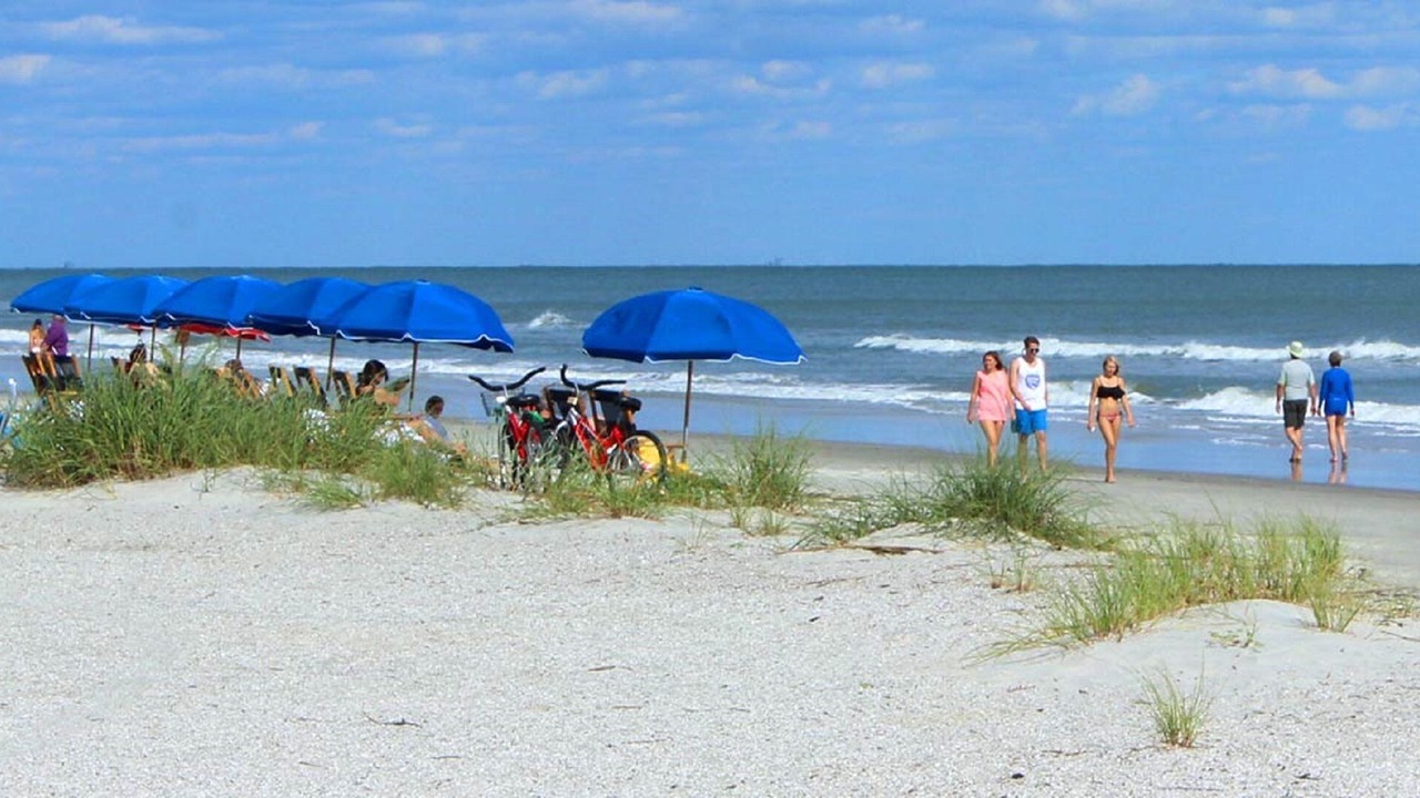 Photo of Others in Folly Field