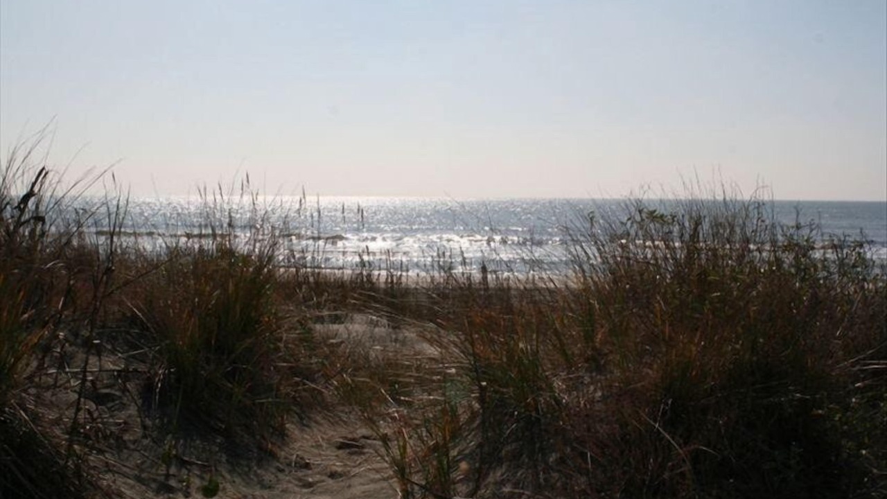 Photo of Others in Isle of Palms