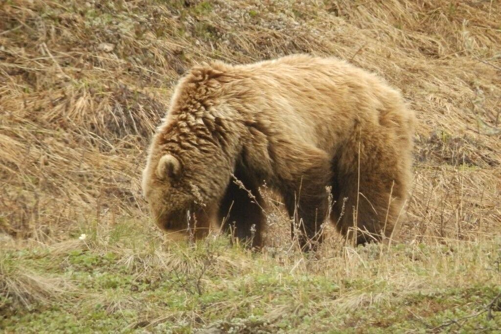Photo of Others in Healy