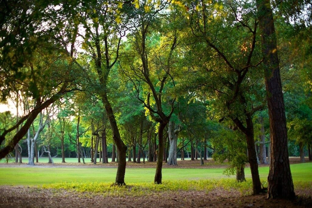 Photo of Others in Arcadian Shores