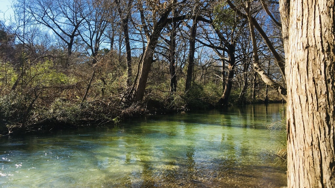 Photo of Others in Wimberley