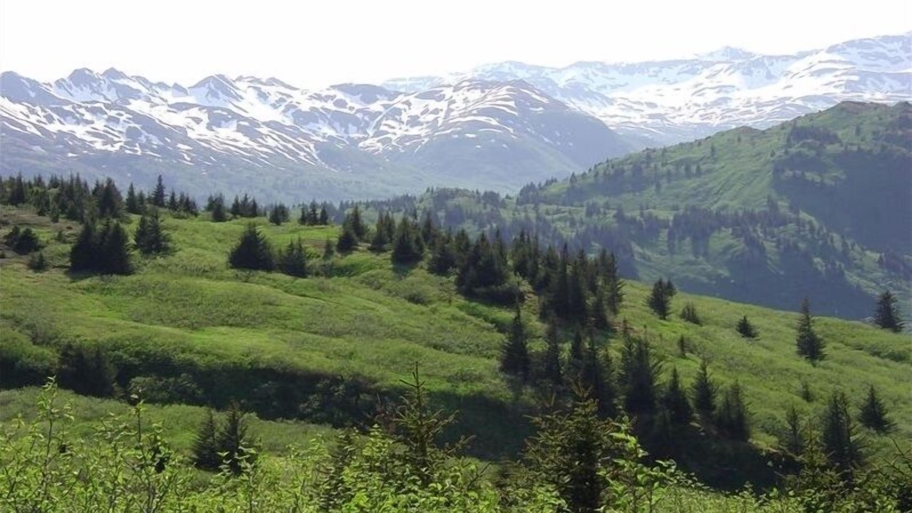 Photo of Outdoor in Kodiak