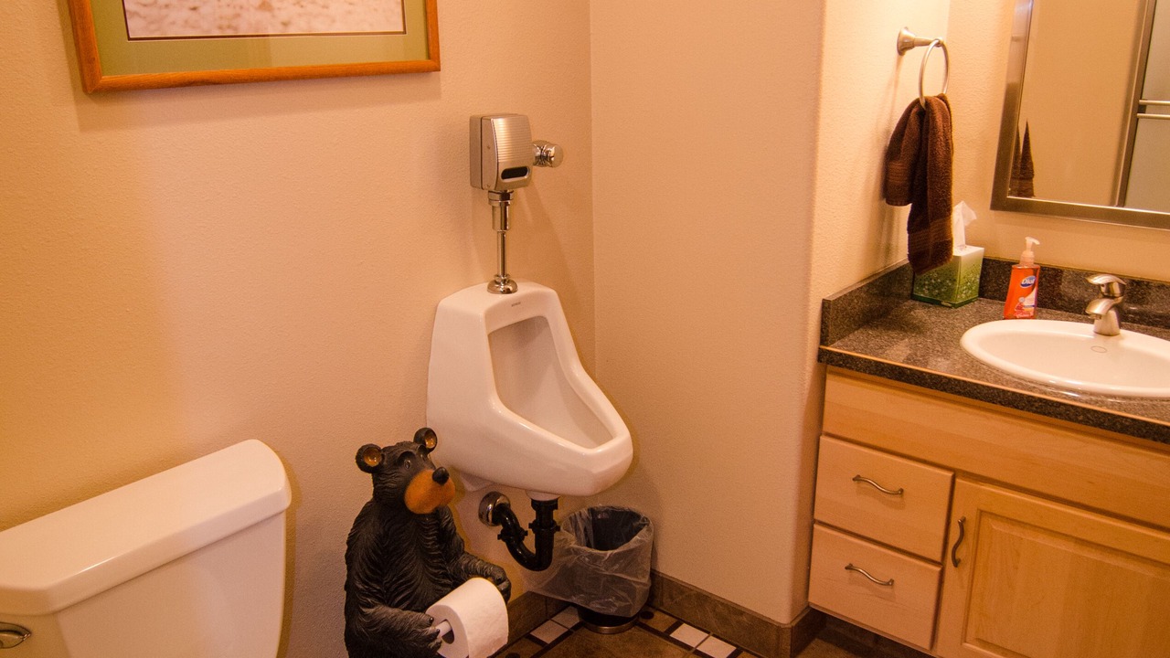 Photo of Bathroom in Kodiak