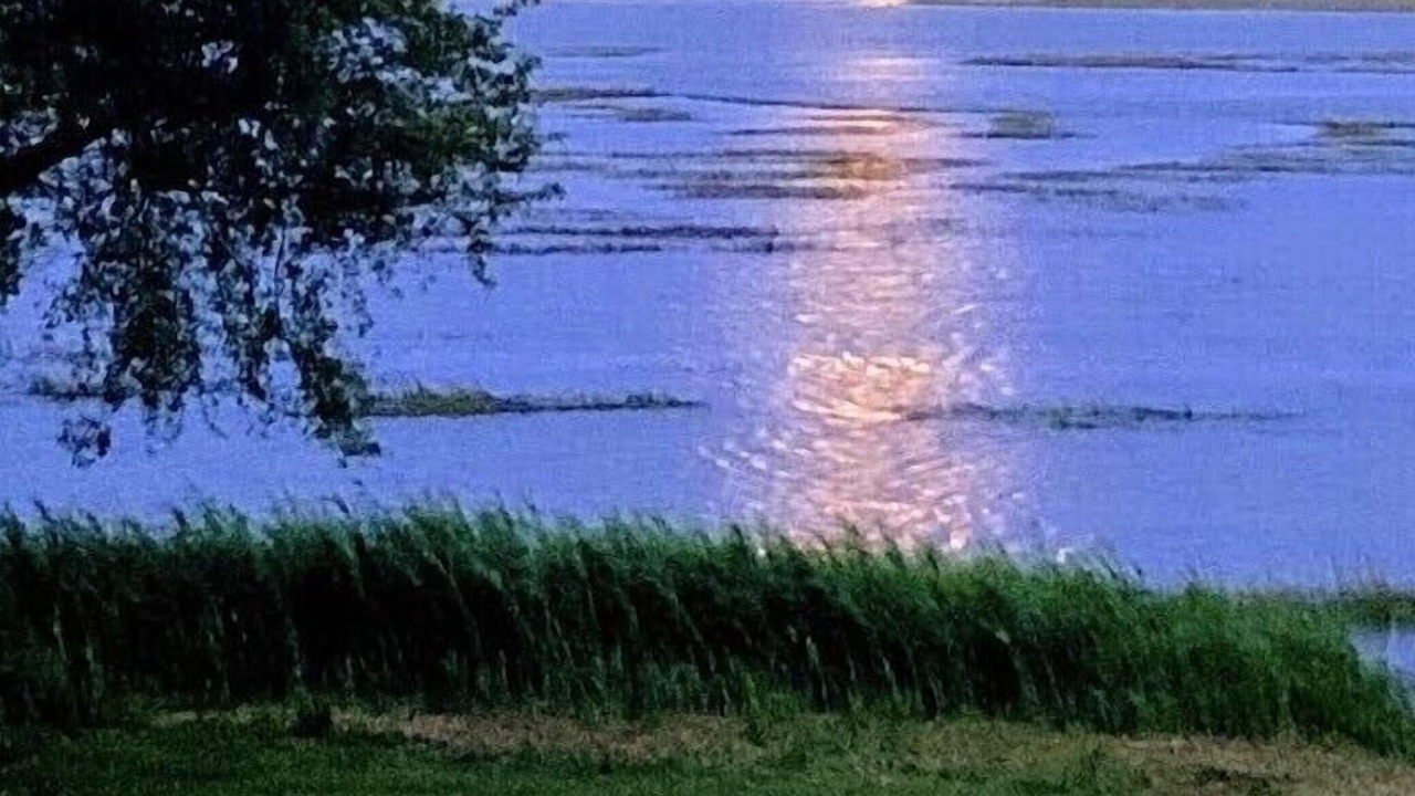 Photo of Others in Murrells Inlet