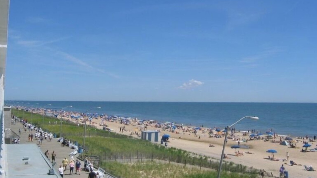 Photo of Others in South Rehoboth