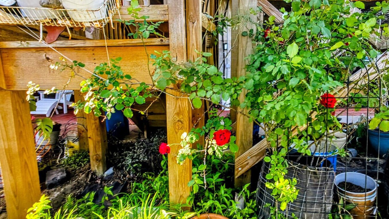Photo of Outdoor in Nassau Bay