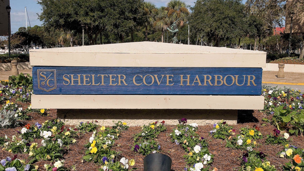 Photo of Others in Shelter Cove