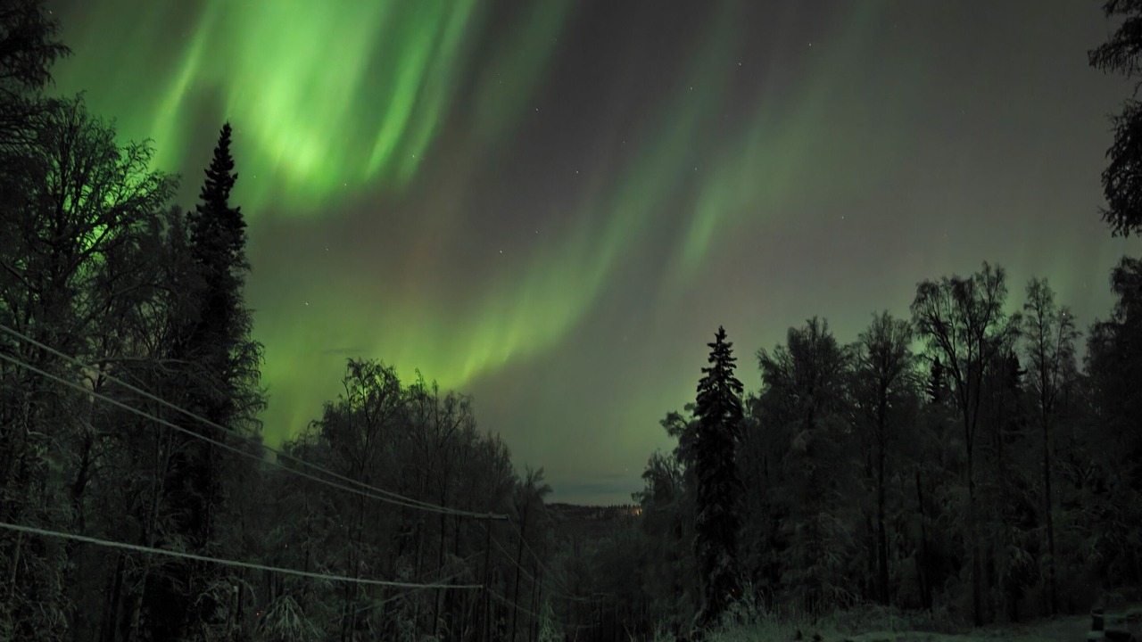 Photo of Others in Fairbanks