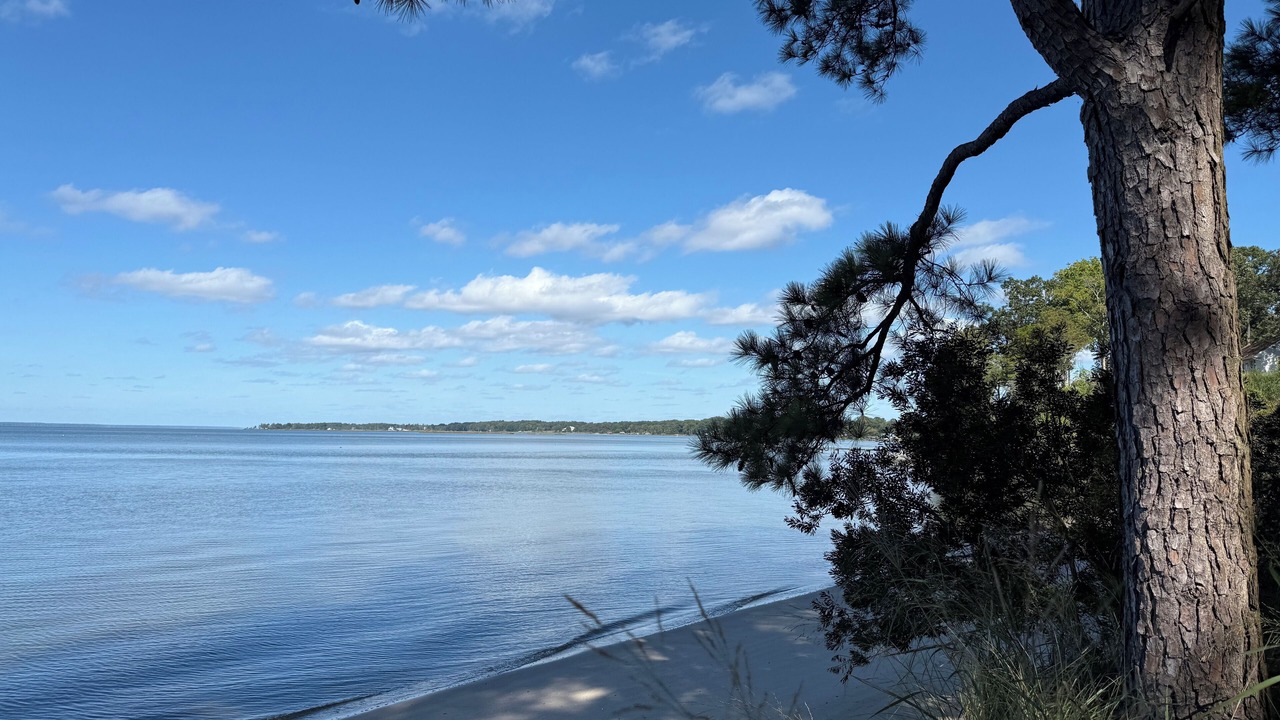 Photo of Others in Gloucester Point