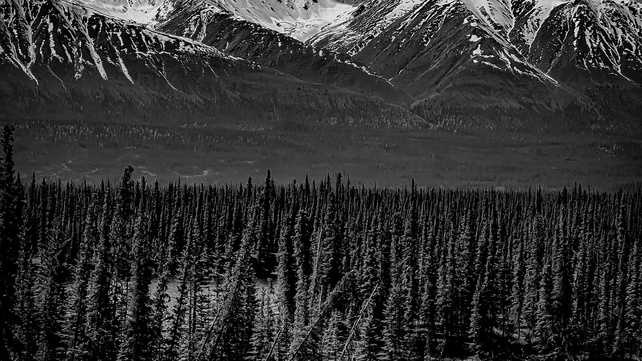 Photo of Others in Fairbanks