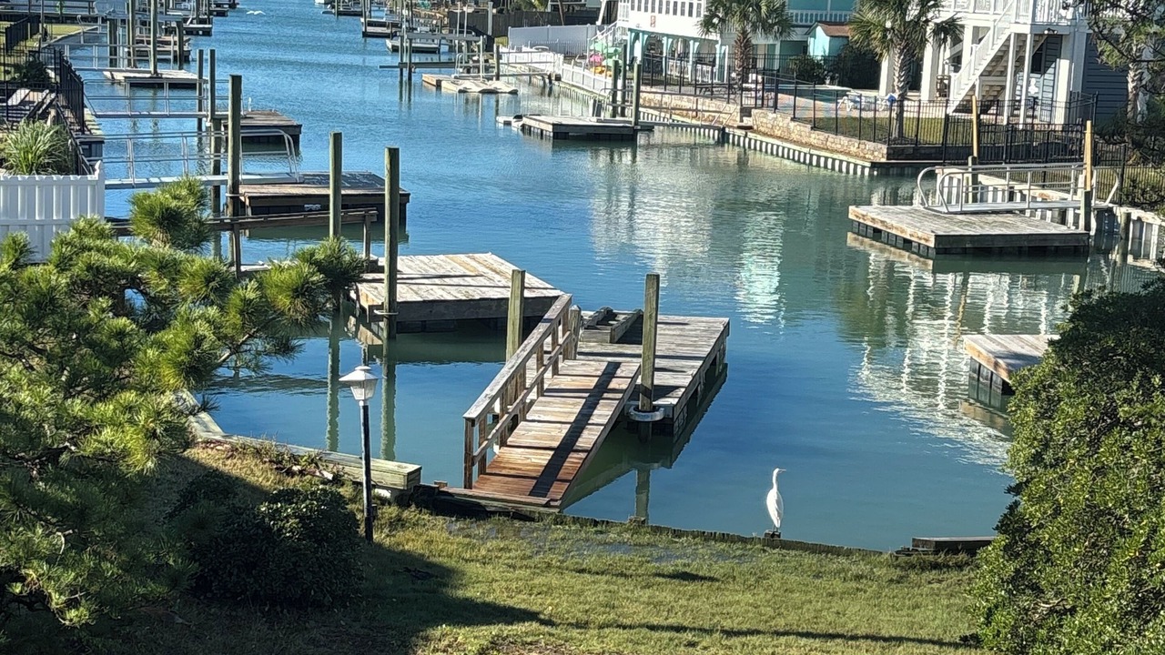Photo of Others in Inlet Harbour