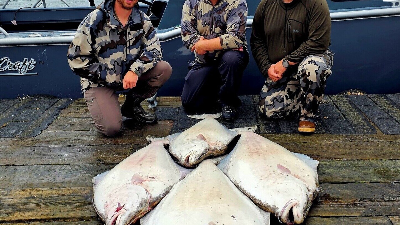 Photo of Others in Naukati Bay