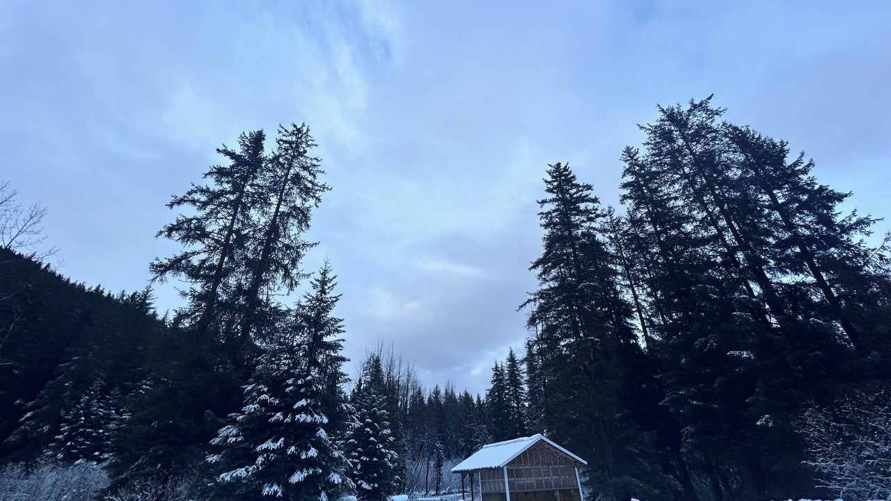 Photo of Others in Bear Creek