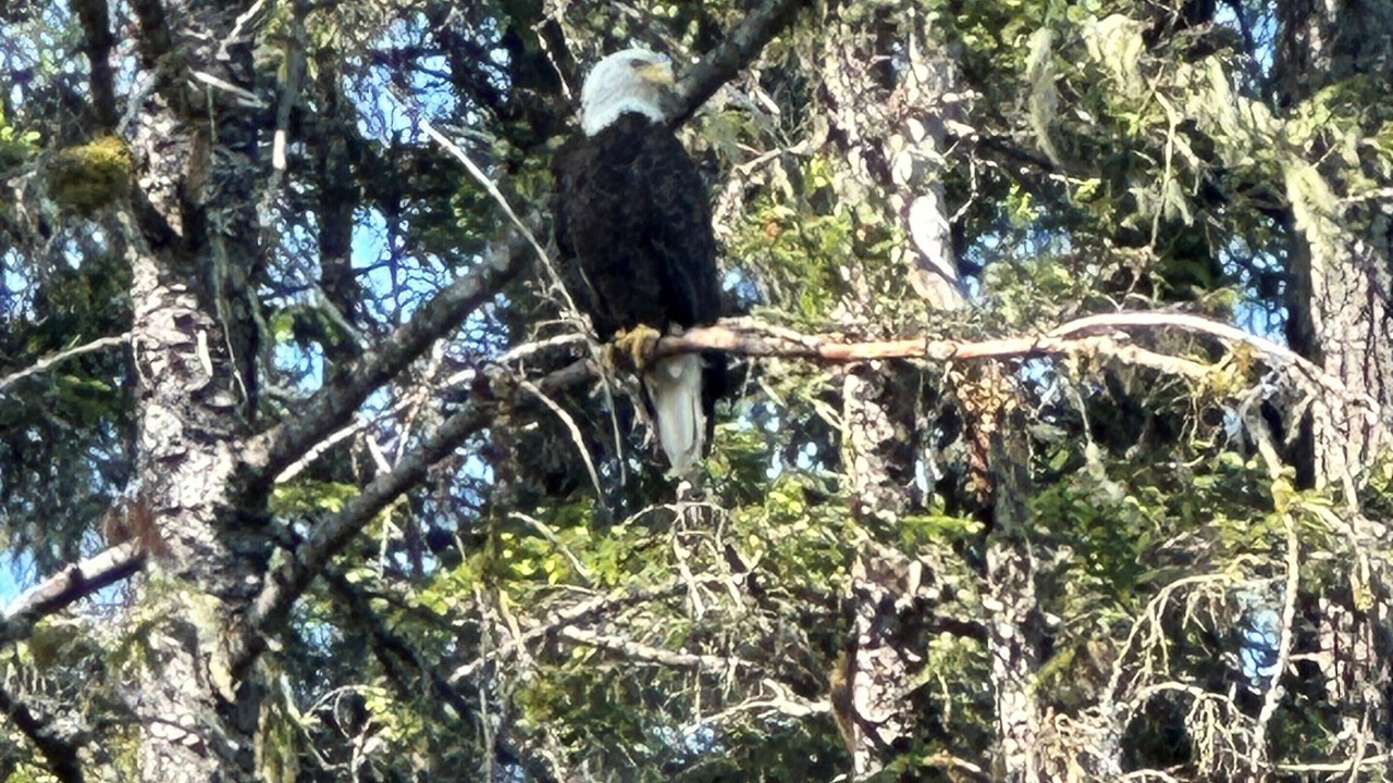 Photo of Others in Bear Creek
