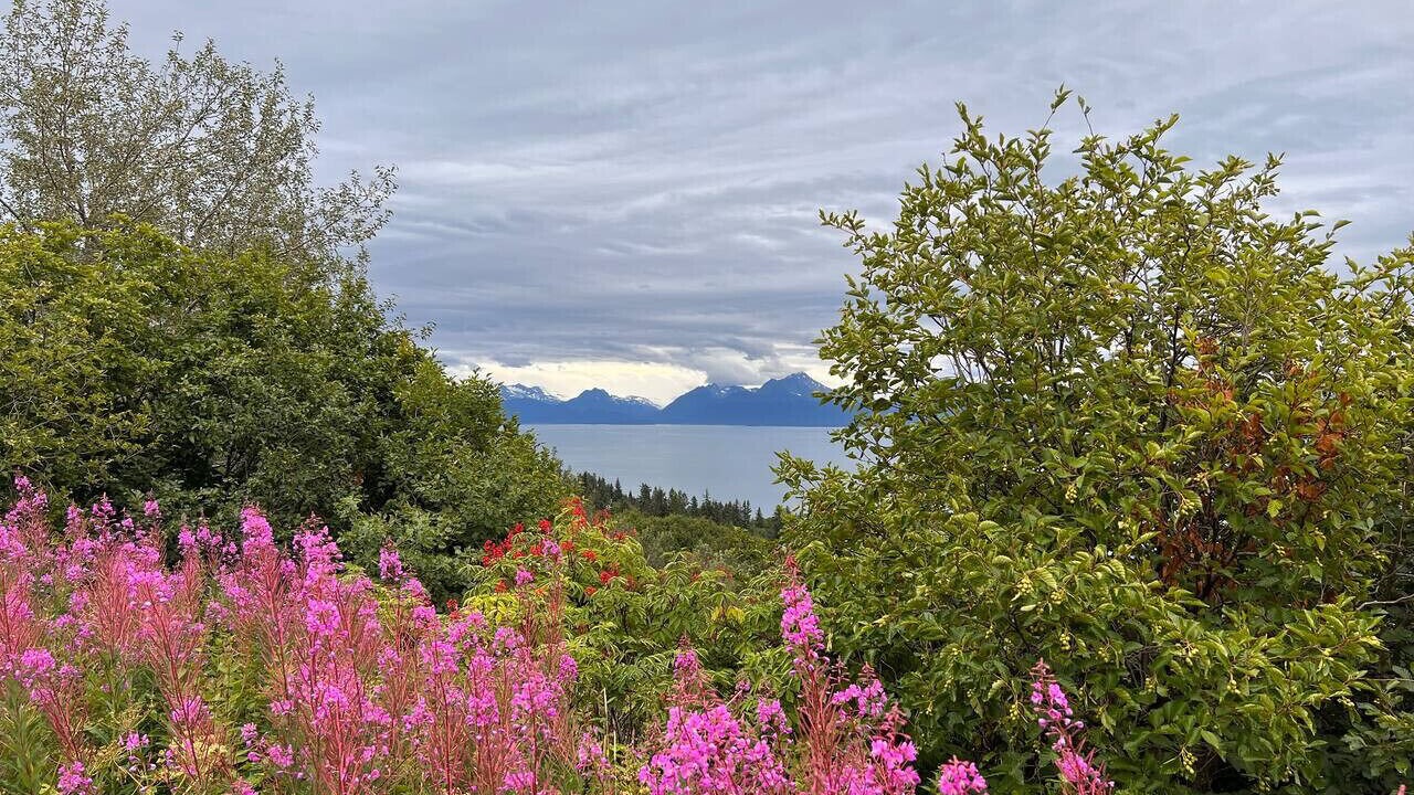 Photo of Others in Homer