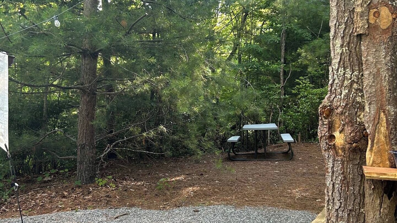 Photo of Outdoor in Waynesville