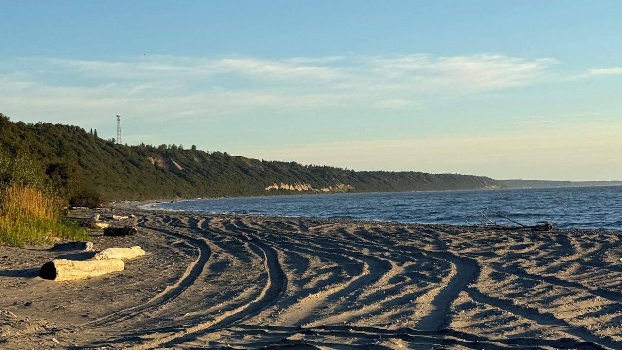 Photo of Others in Clam Gulch