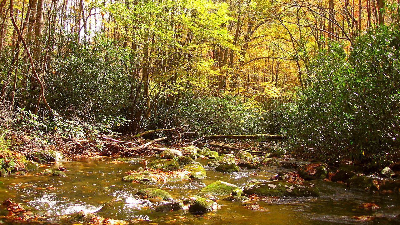 Photo of Others in Robbinsville