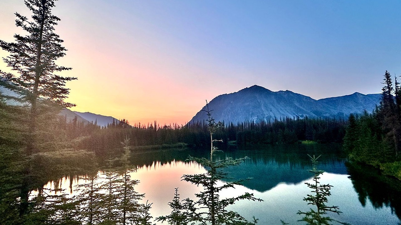 Photo of Others in Denali