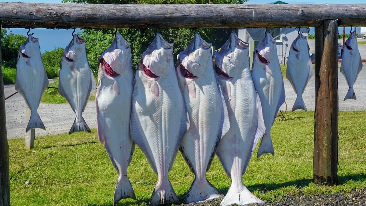 Photo of Others in Ninilchik