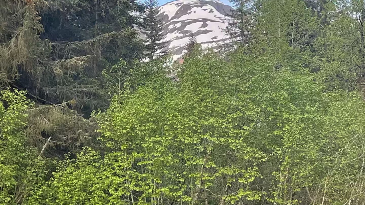 Photo of Outdoor in Bear Creek