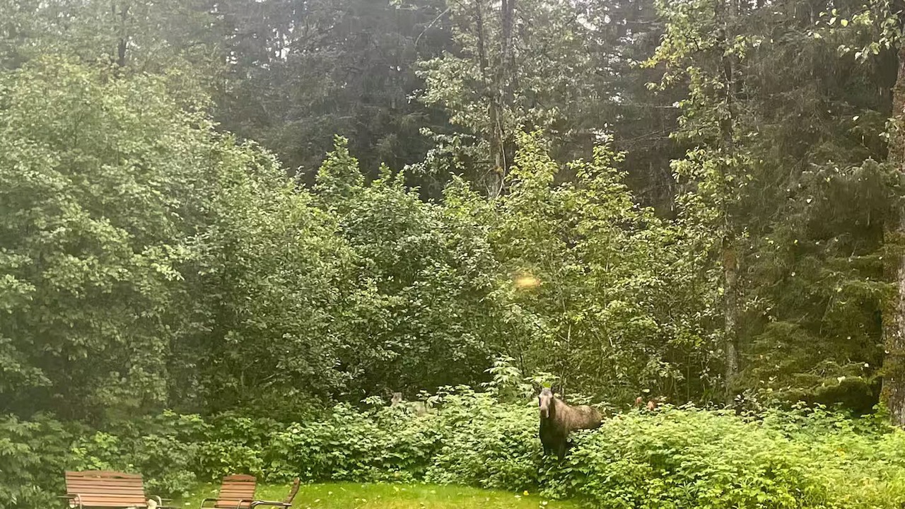 Photo of Outdoor in Bear Creek