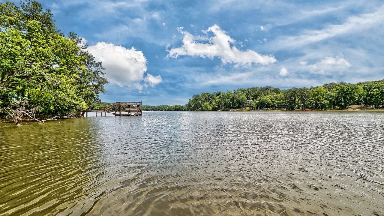 Photo of Others in White Oak