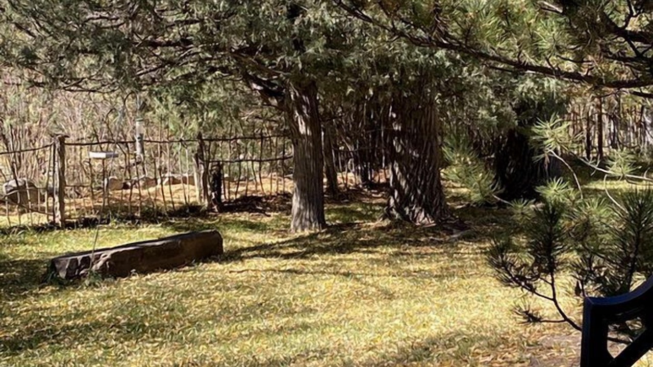 Photo of Outdoor in Pecos