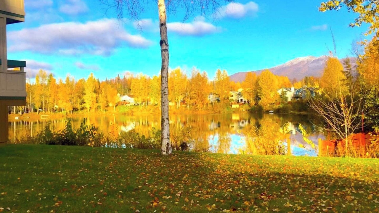 Photo of Outdoor in University Area