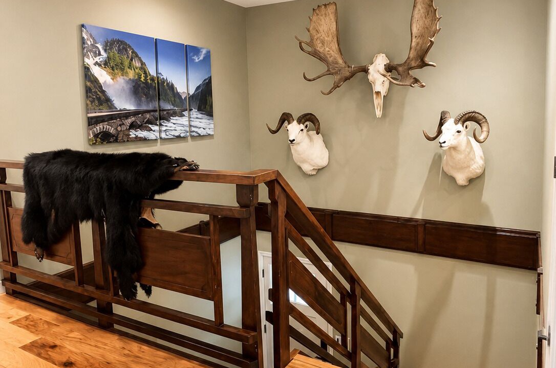 Photo of Others in Turnagain