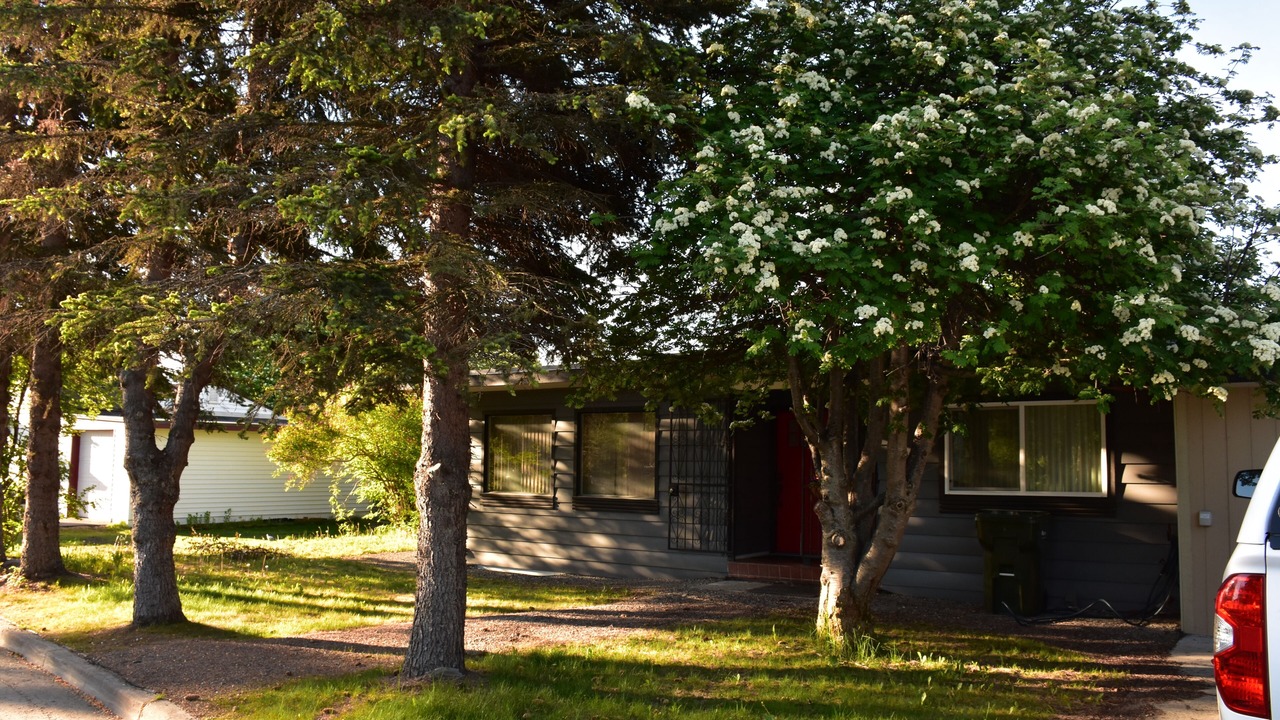 Photo of Outdoor in Spenard