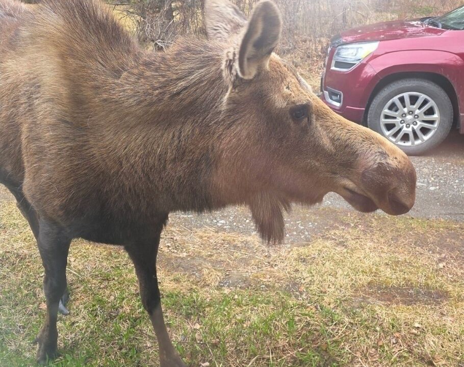Photo of Others in Ridgeway