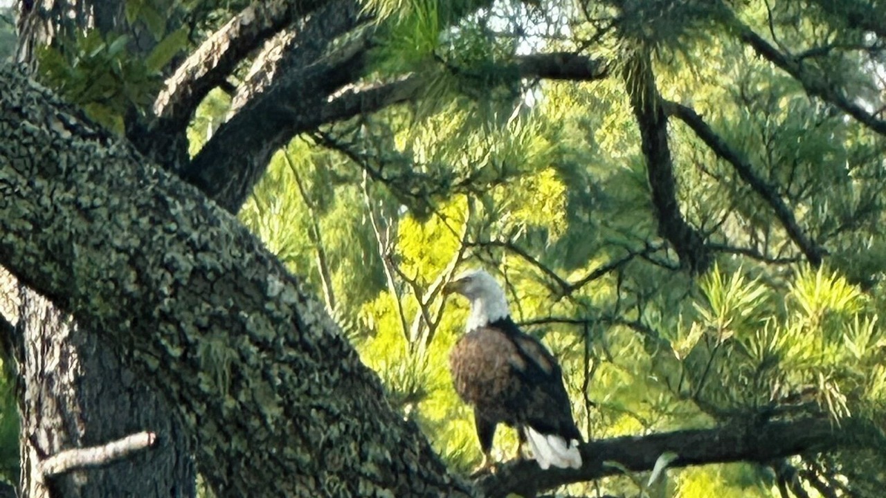 Photo of Outdoor in Walterboro
