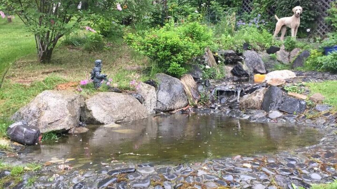 Photo of Outdoor in Kasilof