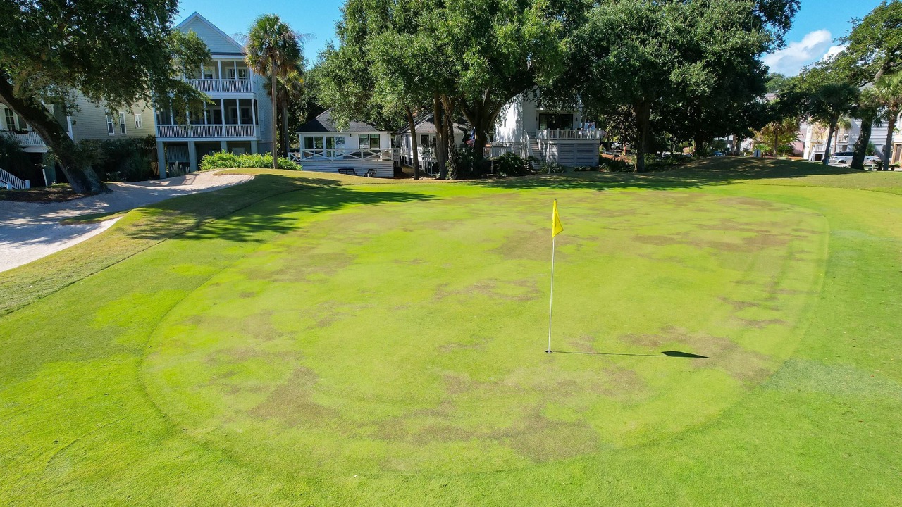 Photo of Outdoor in Isle of Palms