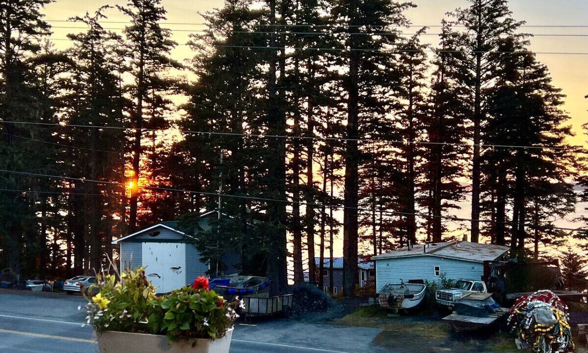 Photo of Others in Kodiak
