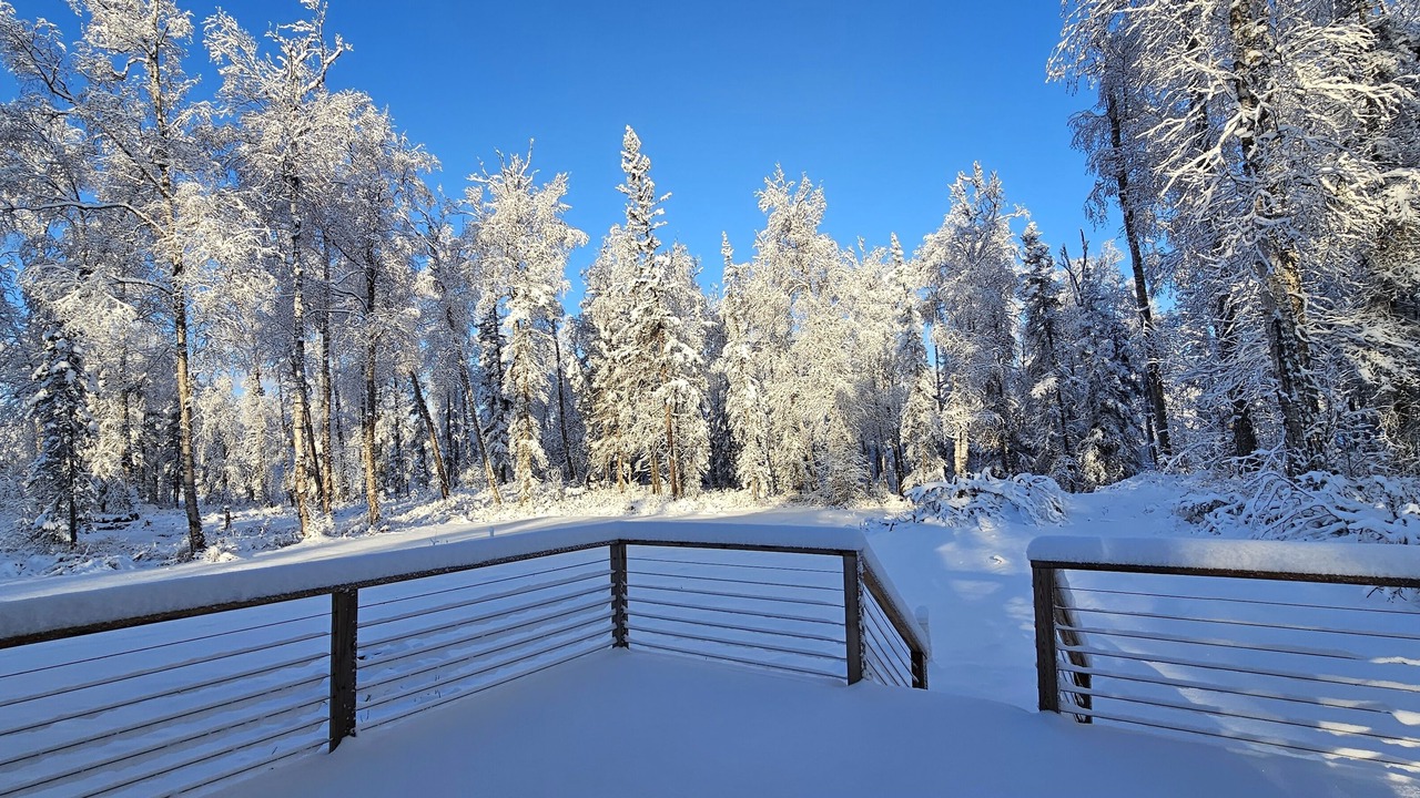 Photo of Outdoor in Knik-Fairview
