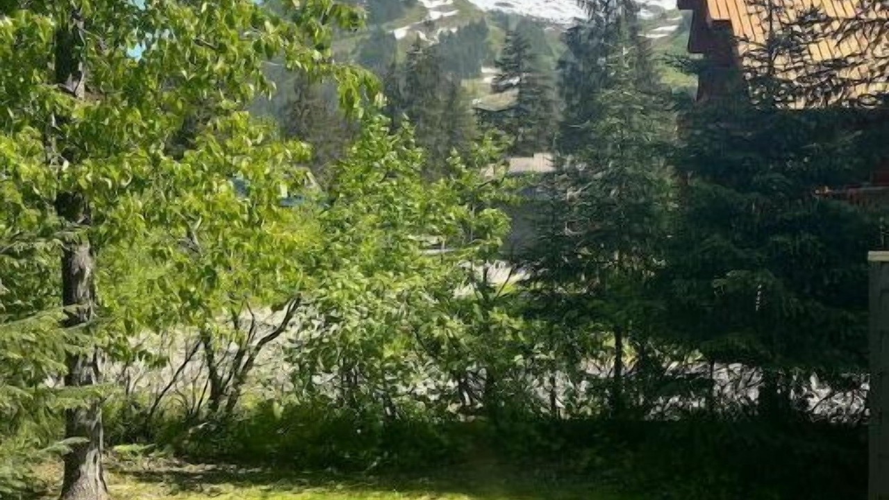 Photo of Others in Alyeska