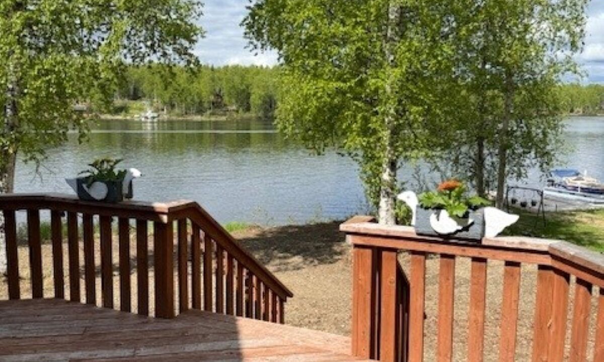 Photo of Outdoor in Willow
