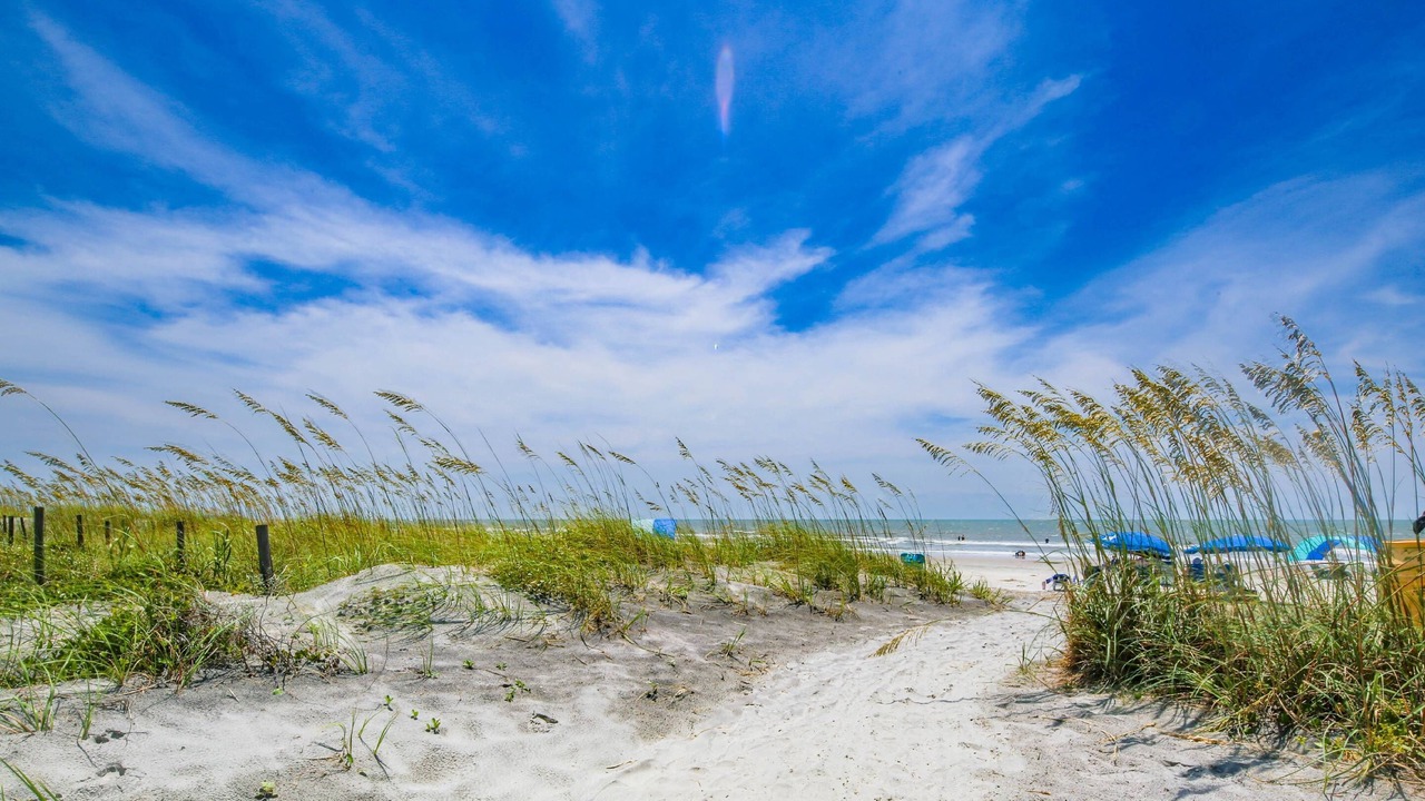 Photo of Others in Isle of Palms