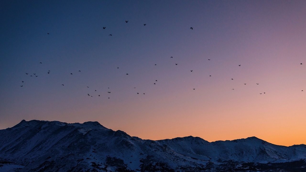 Photo of Others in Anchorage